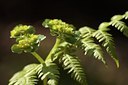BUITEN BEELD Foto: 56046