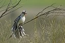 BUITEN BEELD Foto: 56082