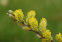 BUITEN BEELD Foto: 56143
