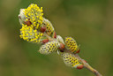 BUITEN BEELD Foto: 56145