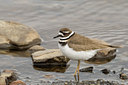 BUITEN BEELD Foto: 56162