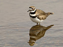 BUITEN BEELD Foto: 56181