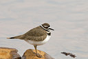 BUITEN BEELD Foto: 56182