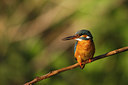 BUITEN BEELD Foto: 56221