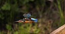 BUITEN BEELD Foto: 56228