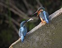BUITEN BEELD Foto: 56231