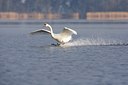 BUITEN BEELD Foto: 56234