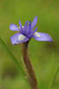 BUITEN BEELD Foto: 56244