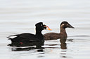 BUITEN BEELD Foto: 56324