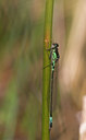 BUITEN BEELD Foto: 56343