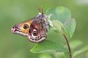 BUITEN BEELD Foto: 56357