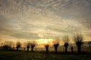 BUITEN BEELD Foto: 56369