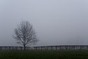 BUITEN BEELD Foto: 56372