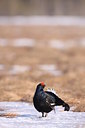 BUITEN BEELD Foto: 56403