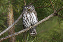 BUITEN BEELD Foto: 56404