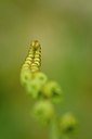 BUITEN BEELD Foto: 56471