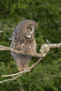 BUITEN BEELD Foto: 56507