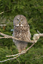 BUITEN BEELD Foto: 56509