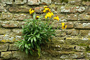 BUITEN BEELD Foto: 56518