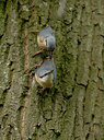 BUITEN BEELD Foto: 56537