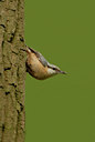BUITEN BEELD Foto: 56539