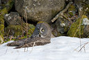 BUITEN BEELD Foto: 56551