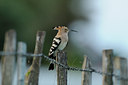 BUITEN BEELD Foto: 56677