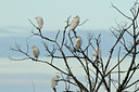 BUITEN BEELD Foto: 56678