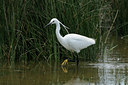BUITEN BEELD Foto: 56682