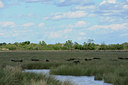 BUITEN BEELD Foto: 56709