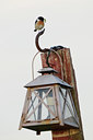 BUITEN BEELD Foto: 56710