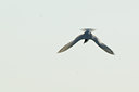 BUITEN BEELD Foto: 56713
