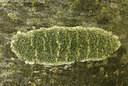 BUITEN BEELD Foto: 56725