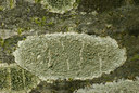 BUITEN BEELD Foto: 56726
