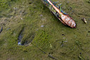 BUITEN BEELD Foto: 56757
