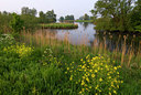 BUITEN BEELD Foto: 56761
