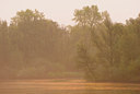 BUITEN BEELD Foto: 56762