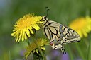 BUITEN BEELD Foto: 56785