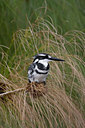 BUITEN BEELD Foto: 56810