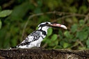 BUITEN BEELD Foto: 56813