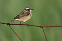 BUITEN BEELD Foto: 56861