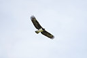 BUITEN BEELD Foto: 56922
