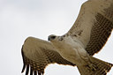 BUITEN BEELD Foto: 56932