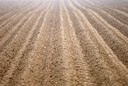 BUITEN BEELD Foto: 56974