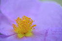 BUITEN BEELD Foto: 56976