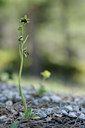 BUITEN BEELD Foto: 56982