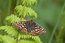 BUITEN BEELD Foto: 57004