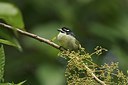 BUITEN BEELD Foto: 57015