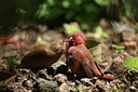 BUITEN BEELD Foto: 57027
