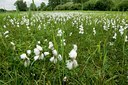 BUITEN BEELD Foto: 57029